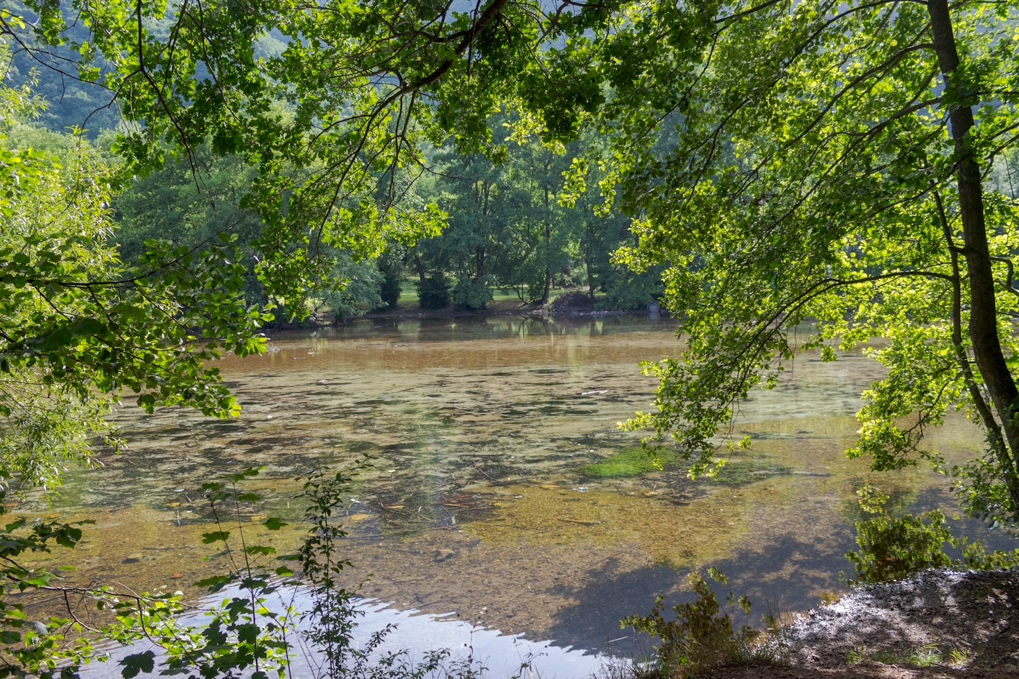 How Professional Content Can Foster Calm