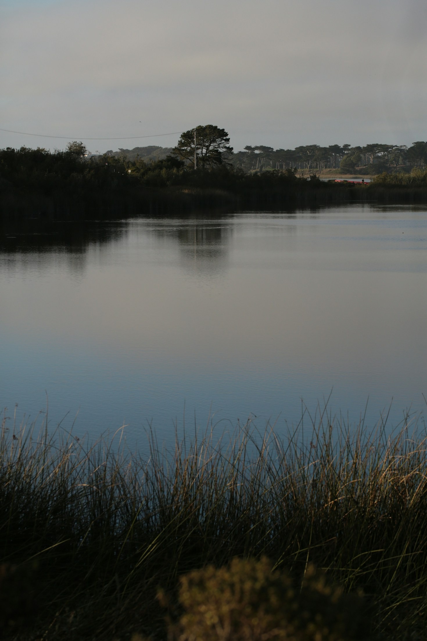 Building Trust Through Thoughtful Design