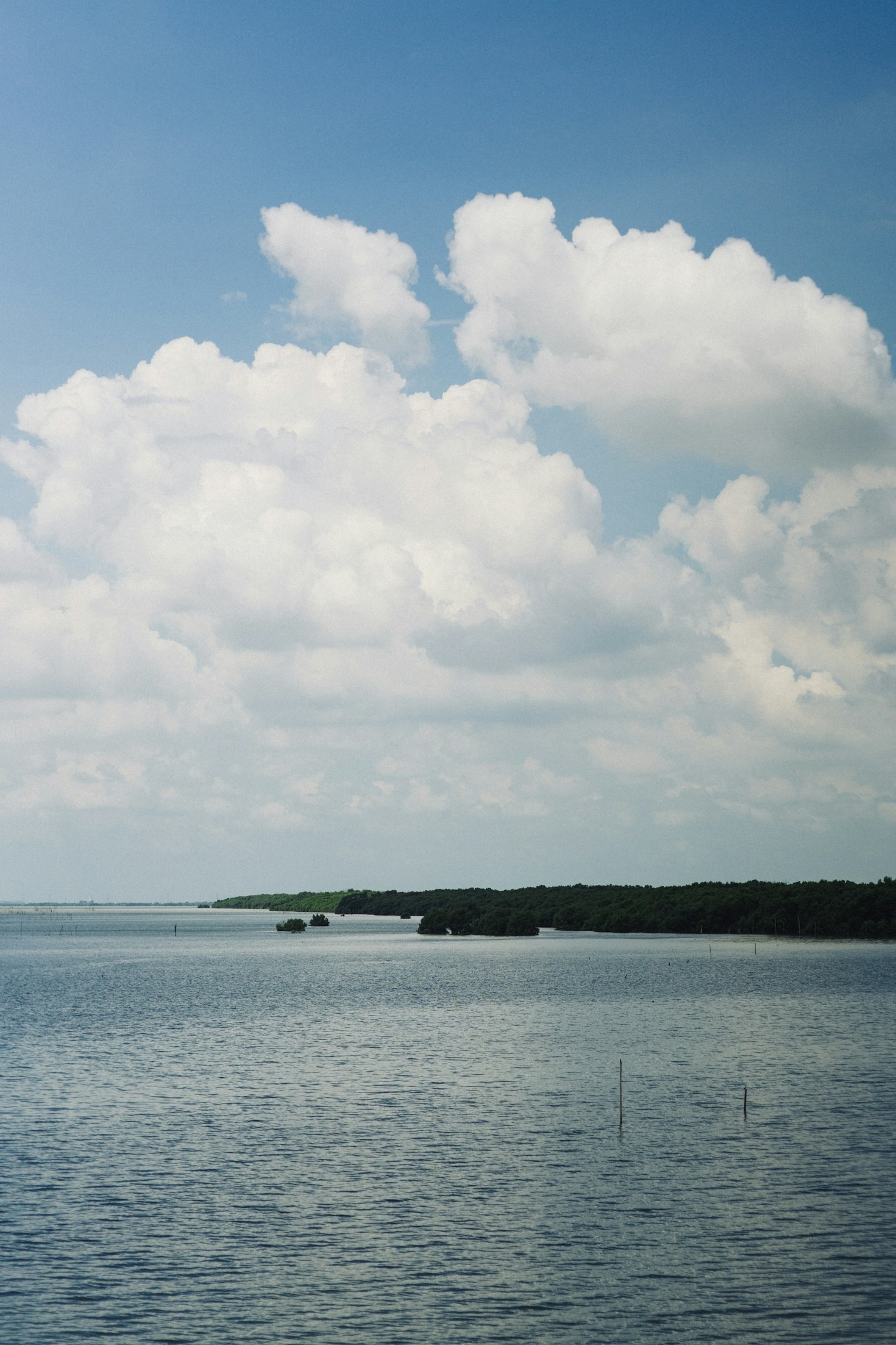 Strategies for Maintaining a Calming Atmosphere